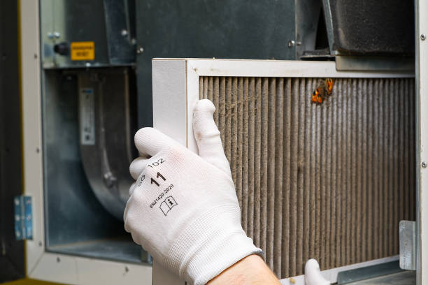 Best Ventilation Cleaning Services  in Elmwood, IL